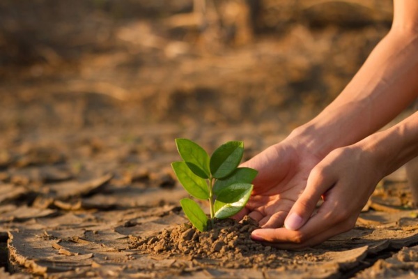 o que sao mudancas climaticas